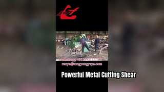 Q43-2500 برش تمساح